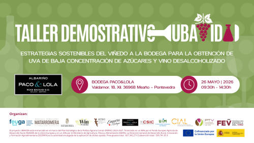 UBAVIDA_Taller P&L_PS.png